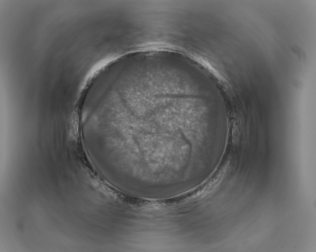 X0000112011358200908311126