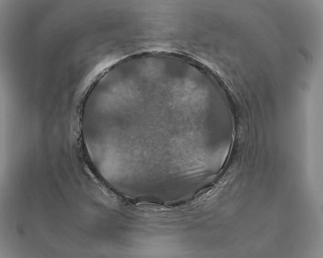 X0000112011359200908311126