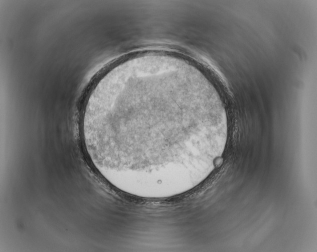 X0000112011360200908311126