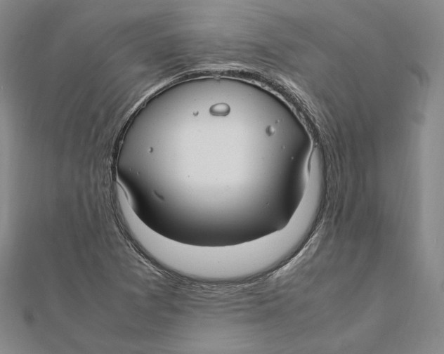 X0000112011361200908311126