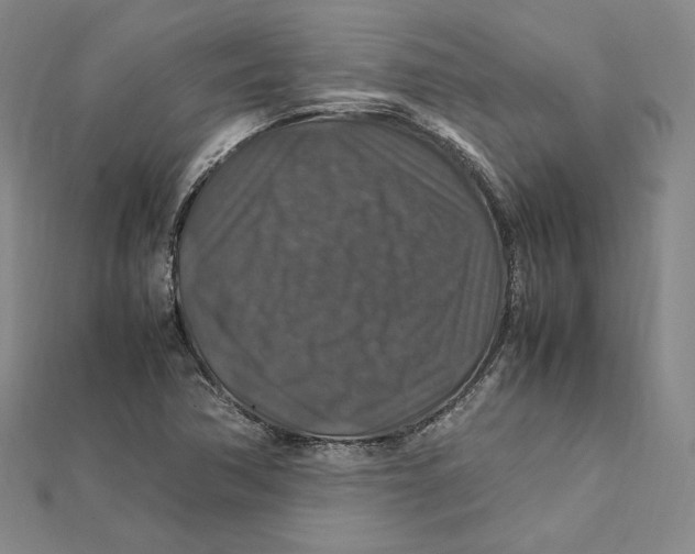 X0000112011362200908311126