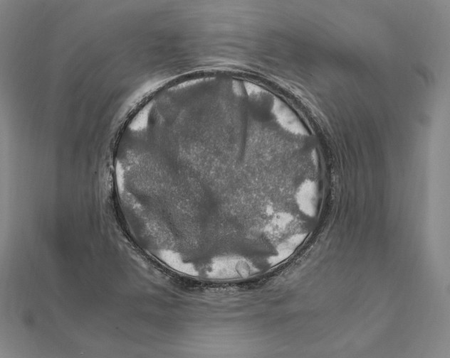 X0000112011363200908311126