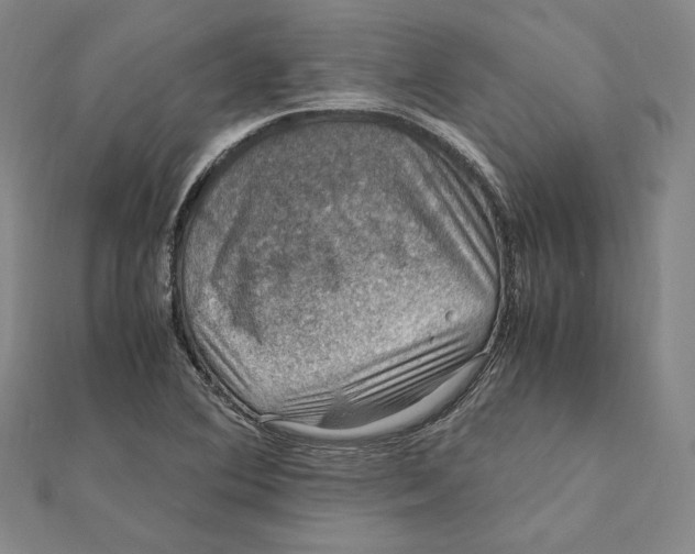 X0000112011364200908311126