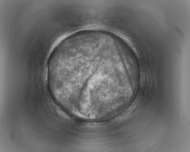 X0000112011366200908311126