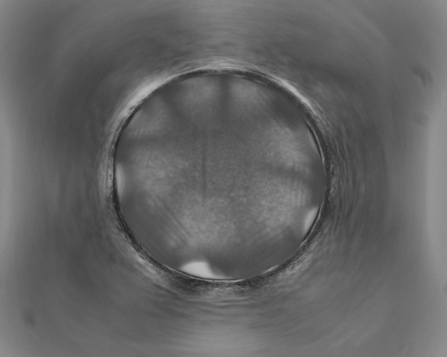 X0000112011367200908311126