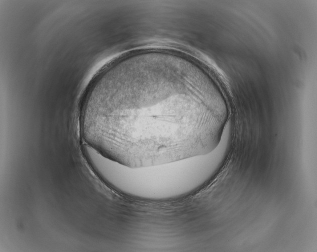 X0000112011368200908311126