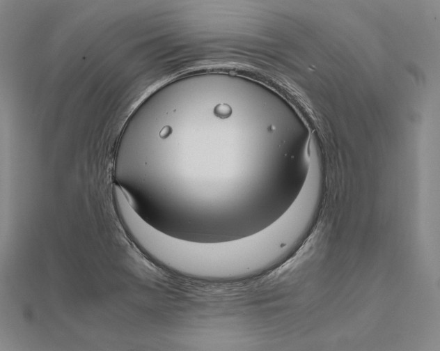 X0000112011369200908311126