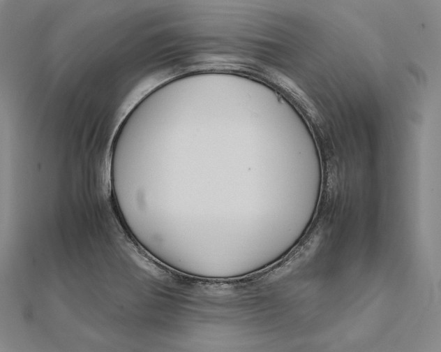 X0000112011370200908311126