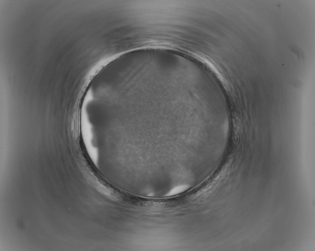 X0000112011371200908311126