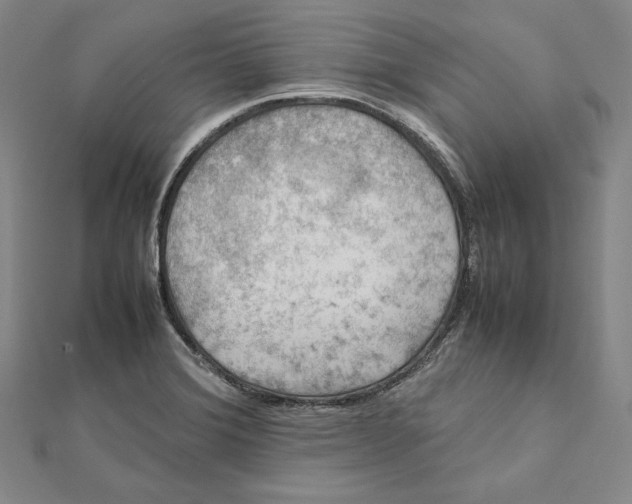 X0000112011372200908311126