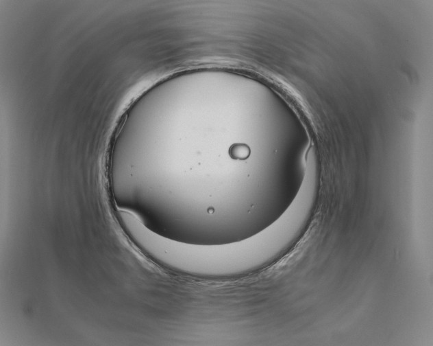 X0000112011373200908311126