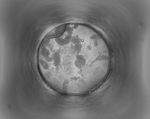 X0000112011375200908311126