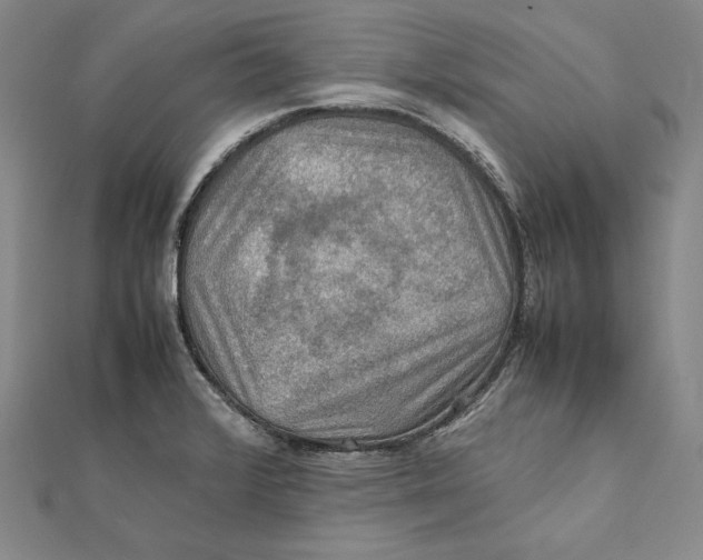 X0000112011376200908311126
