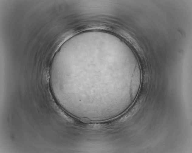 X0000112011377200908311126