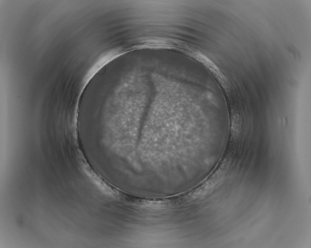 X0000112011378200908311126