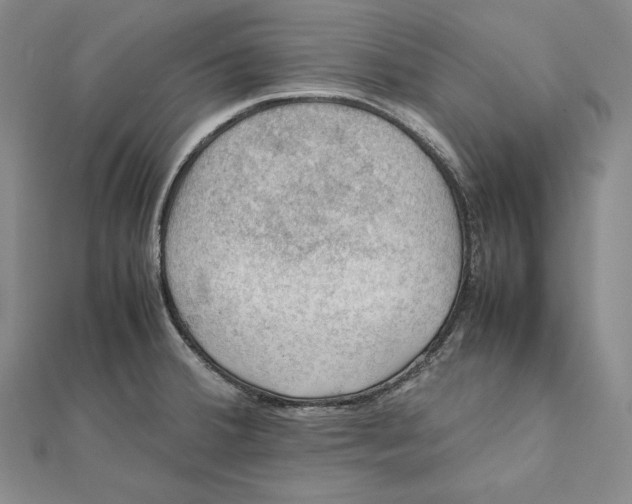 X0000112011380200908311126
