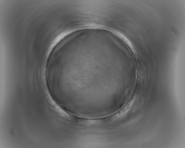 X0000112011381200908311126