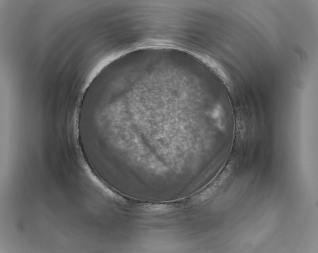 X0000112011382200908311126