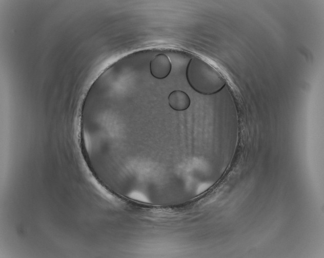X0000112011383200908311126