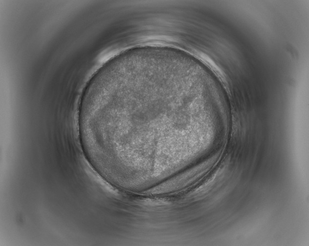 X0000112011384200908311126