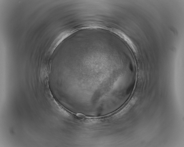 X0000112011385200908311126