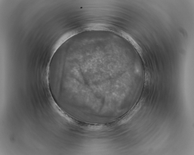 X0000112011386200908311126