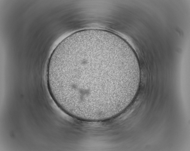 X0000112011387200908311126