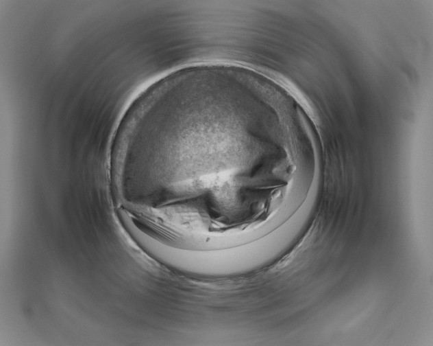X0000112011388200908311125