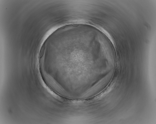 X0000112011389200908311125