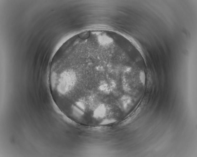 X0000112011390200908311125