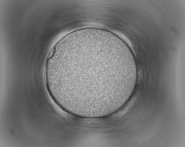 X0000112011391200908311125