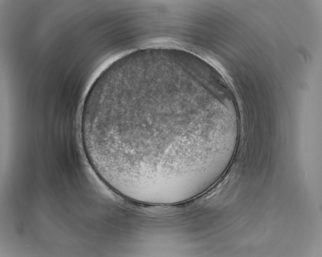 X0000112011392200908311125