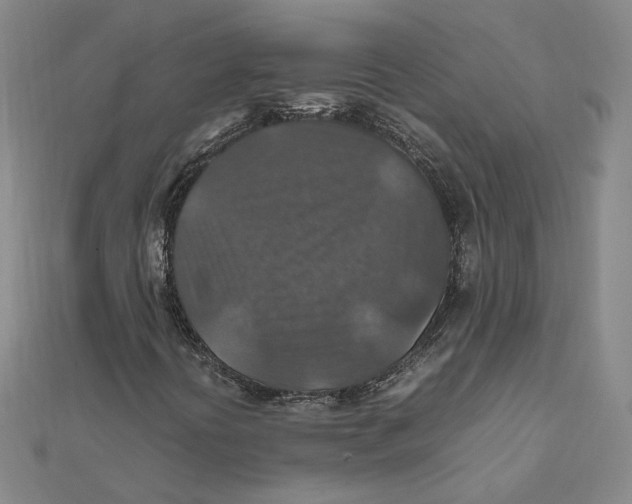 X0000112011394200908311125