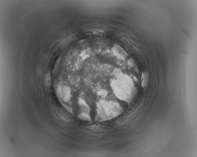 X0000112011395200908311125