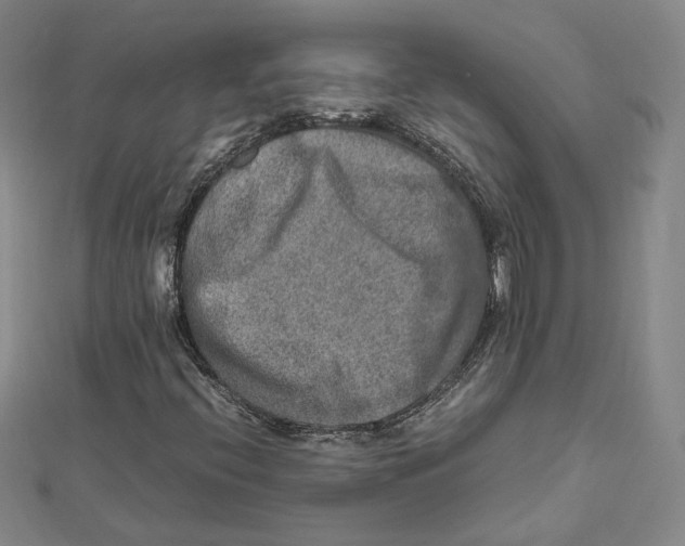 X0000112011396200908311125