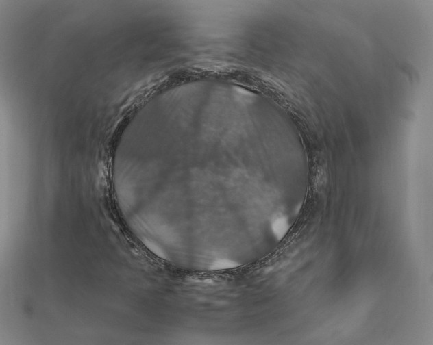 X0000112011397200908311125
