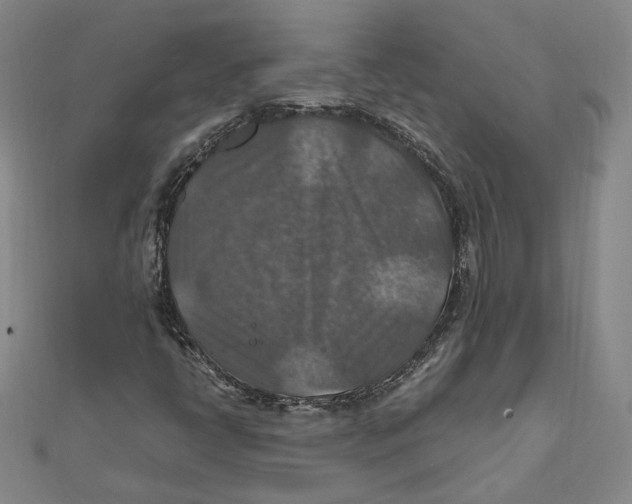 X0000112011398200908311125