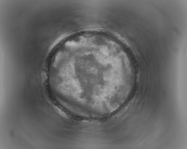 X0000112011400200908311125
