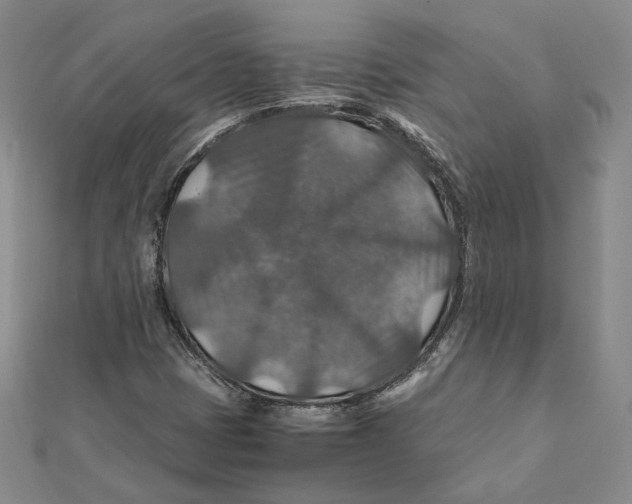 X0000112011401200908311125