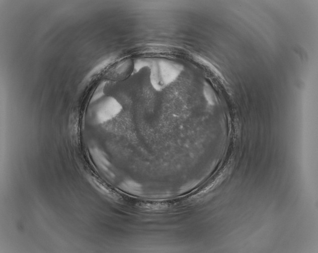 X0000112011403200908311125