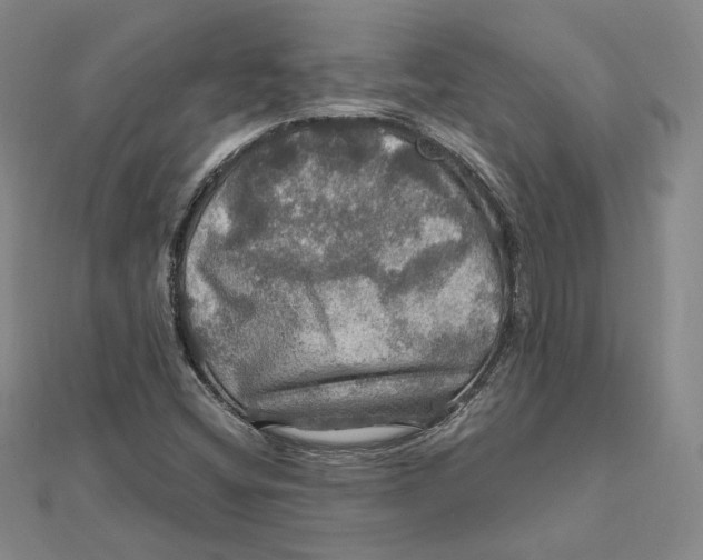 X0000112011404200908311125