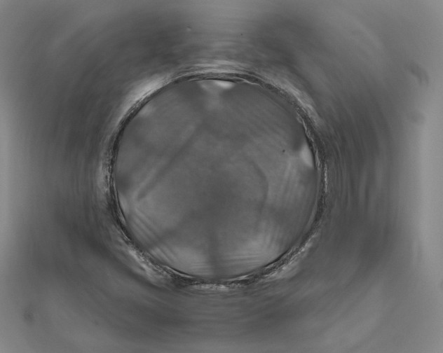 X0000112011405200908311125
