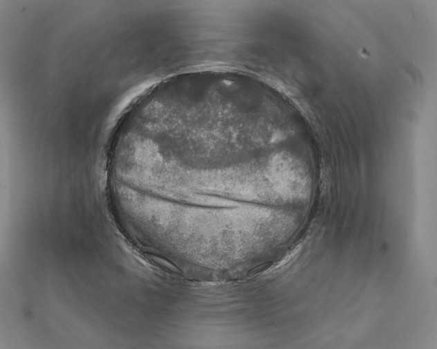 X0000112011406200908311125
