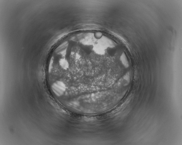X0000112011407200908311125