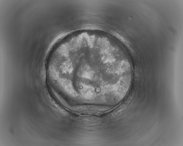 X0000112011408200908311125