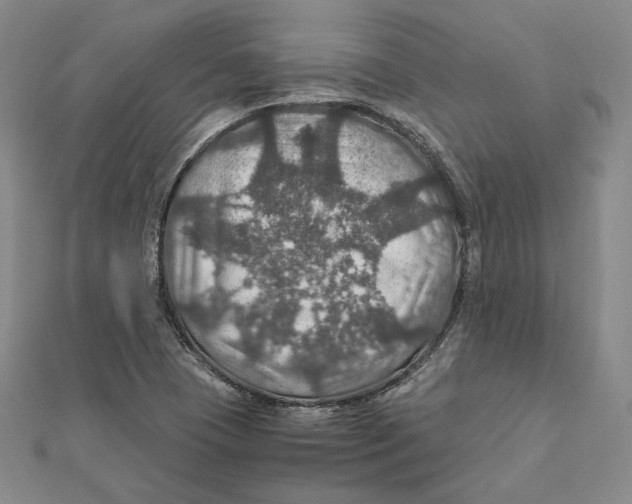 X0000112011409200908311125
