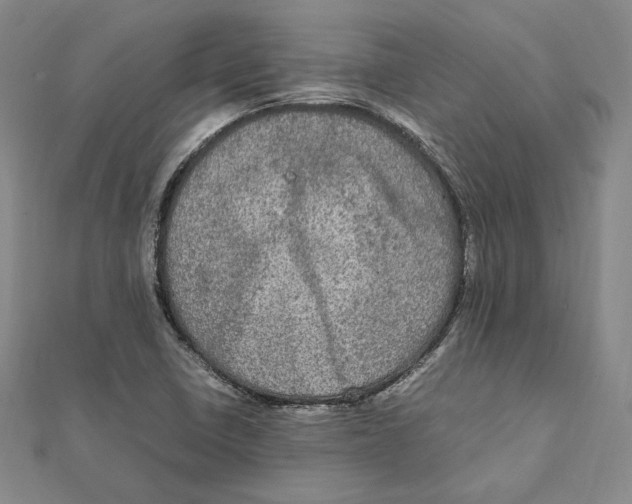 X0000112011410200908311125