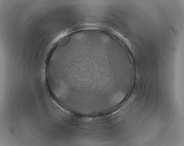 X0000112011411200908311125