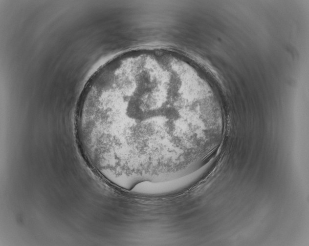 X0000112011412200908311125