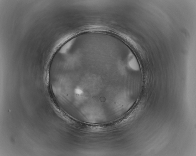 X0000112011413200908311125